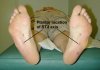 STJ Axis Plantar small.jpg