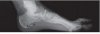 figure1.JPG