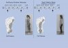 Skewed Foot Sensory Feedback.jpg
